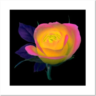 wonderfully pink yellow bright rose, flower Posters and Art